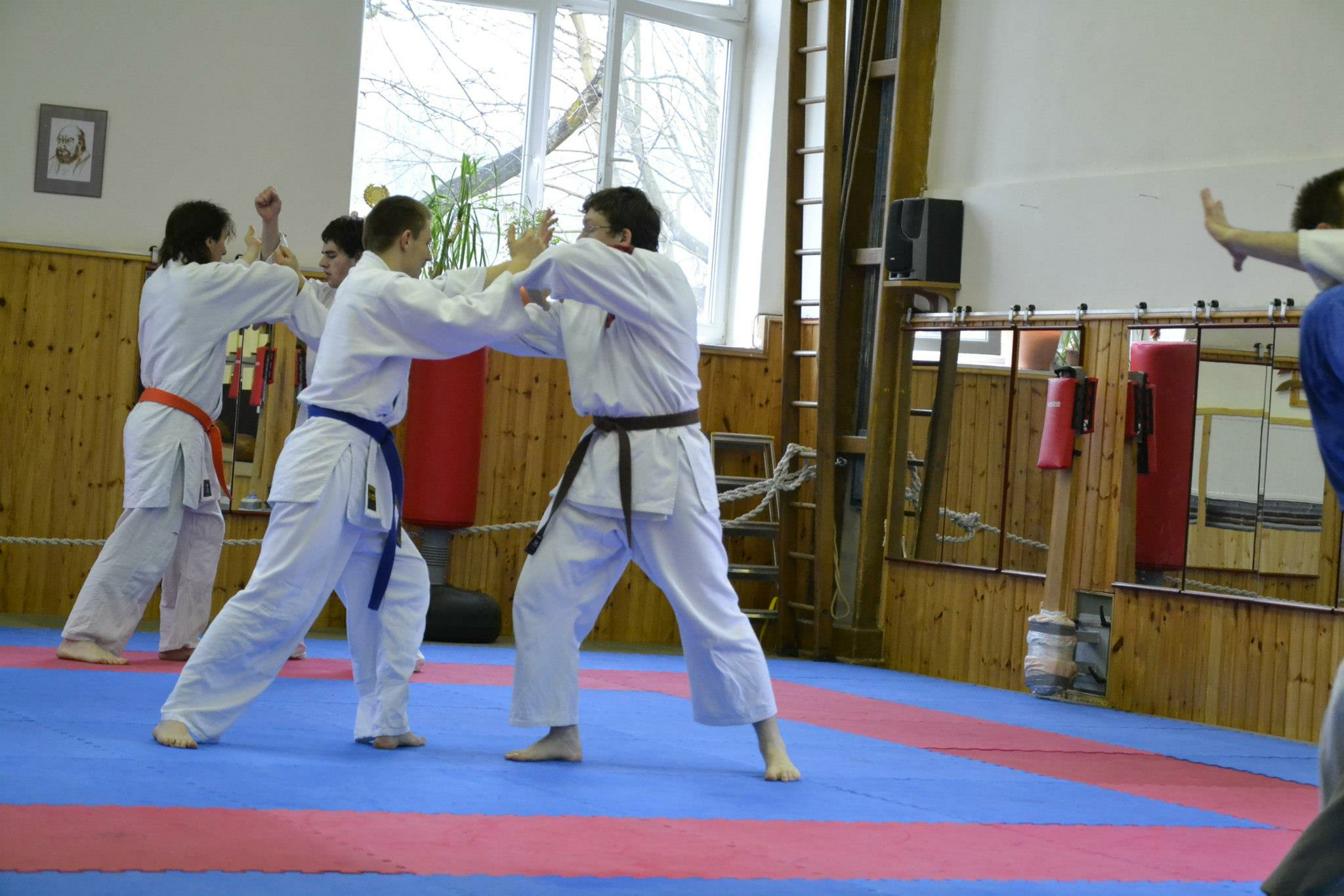 Trénink aikido v dojo SHIN-KYO