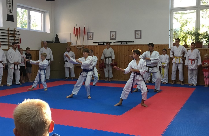 Karate v klubu SHIN-KYO