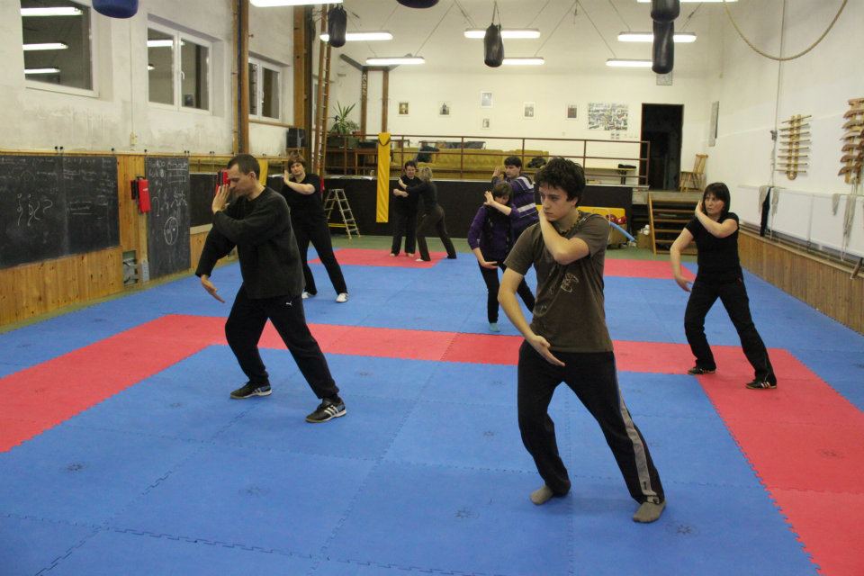 Tai Chi Chuan v dojo SHIN-KYO